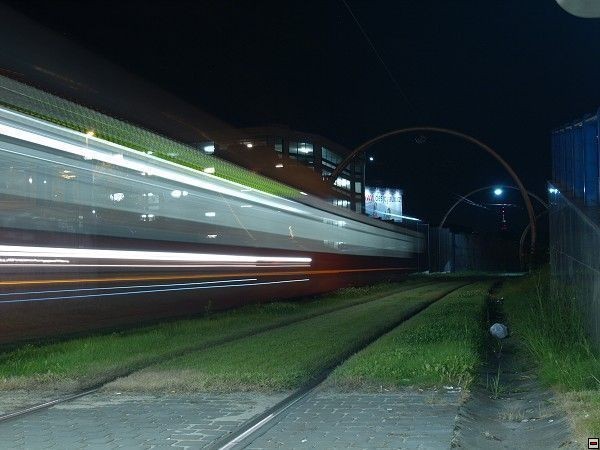 img00019.jpg
