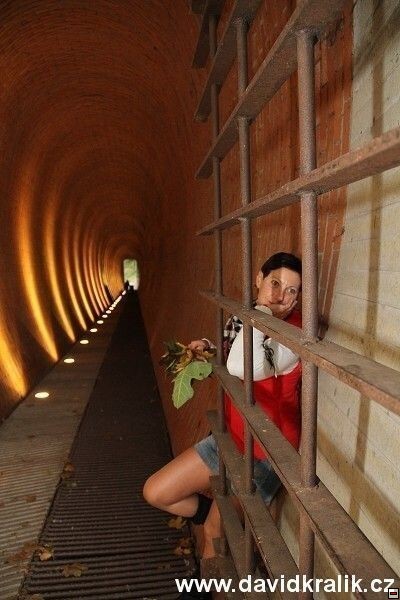 img00035.jpg